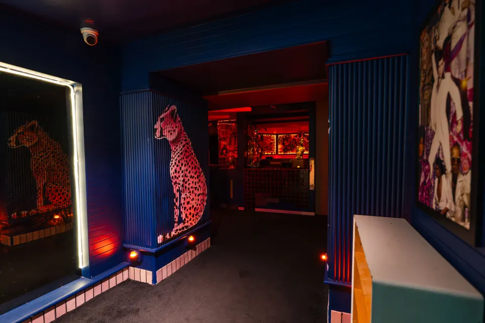 Pelicano club — club cheetah corner