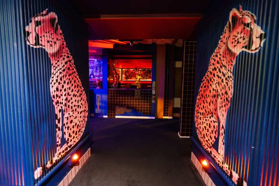Pelicano club — club cheetahs